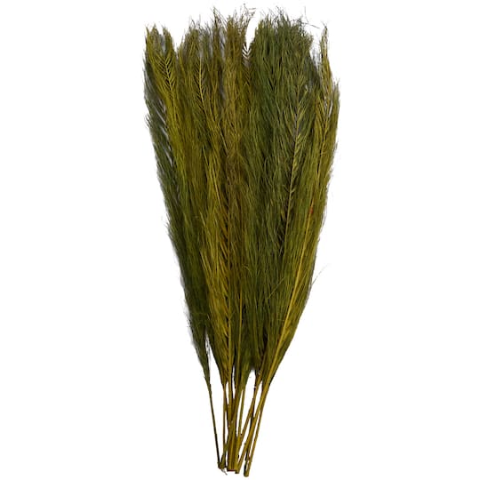 35" Natural Dried Palm Leaf Bundle with Feather-Inspired Stems